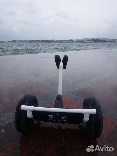 Защита, подножка, переноска для Ninebot Mini и Pro