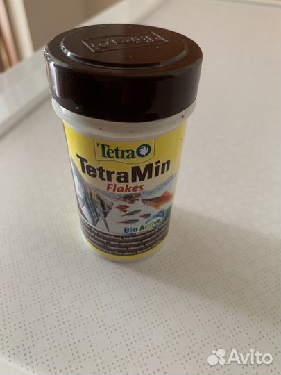 Аквариумное, мальки попугая, грот, растения