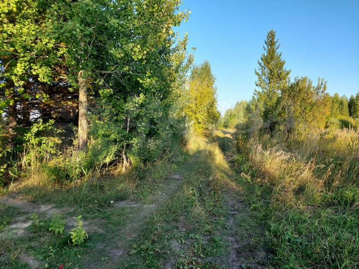 Участок 10 сот. (ИЖС)