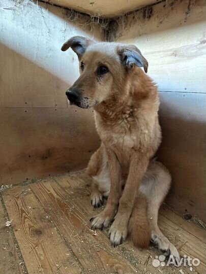 Думаешь обо мне, и я существую