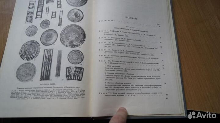 Диатомовые водоросли СССР ископаемые и современные