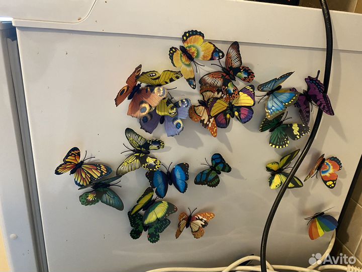 Декоративные бабочки