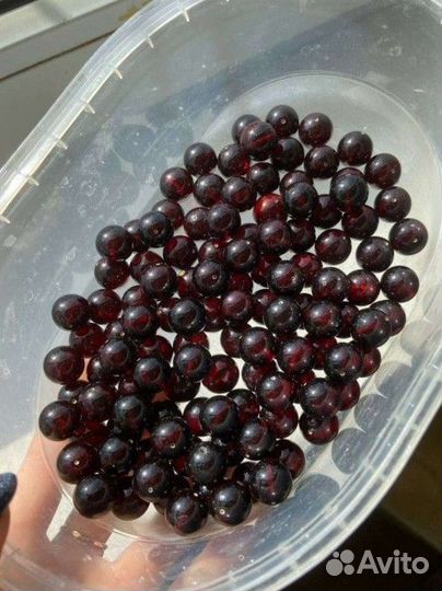 Янтарные шарики