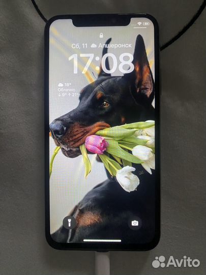 iPhone X, 256 ГБ