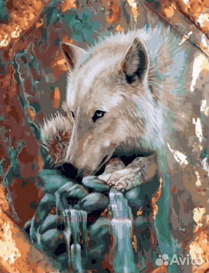 Картина по номерам 40x50 Белый волк у воды