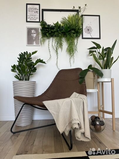 Фитокартина