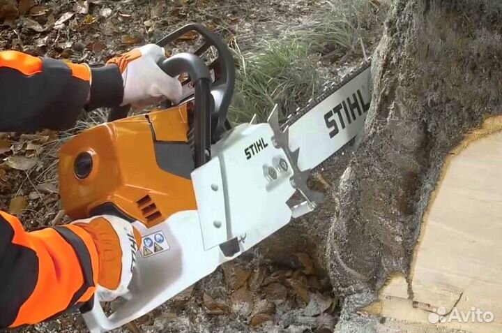 Спил деревьев