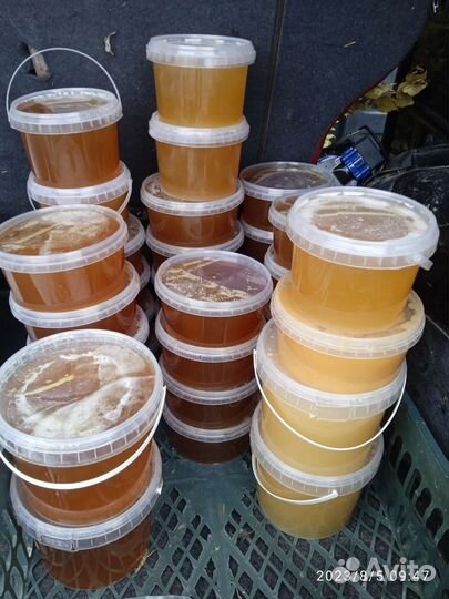 Мёд липовый, цветочный