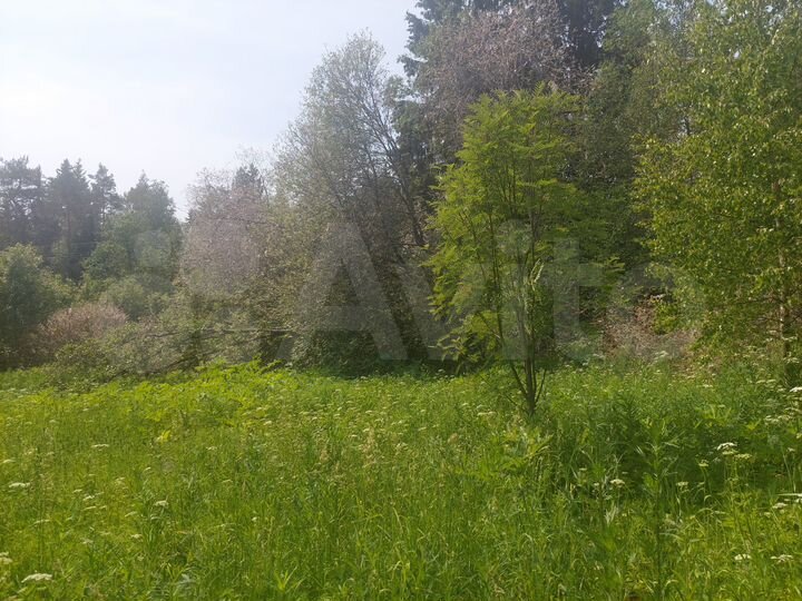 Участок 25 сот. (ИЖС)