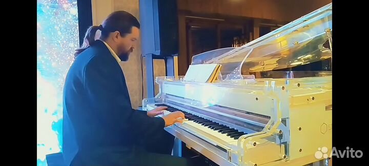 Пианист музыкант Гармонист