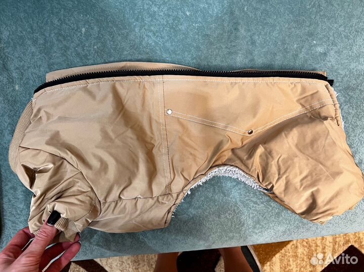 Одежда для собак