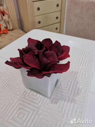 Лилия белый куб