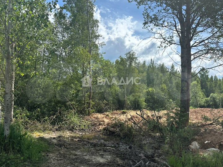 Участок 14,5 сот. (ИЖС)