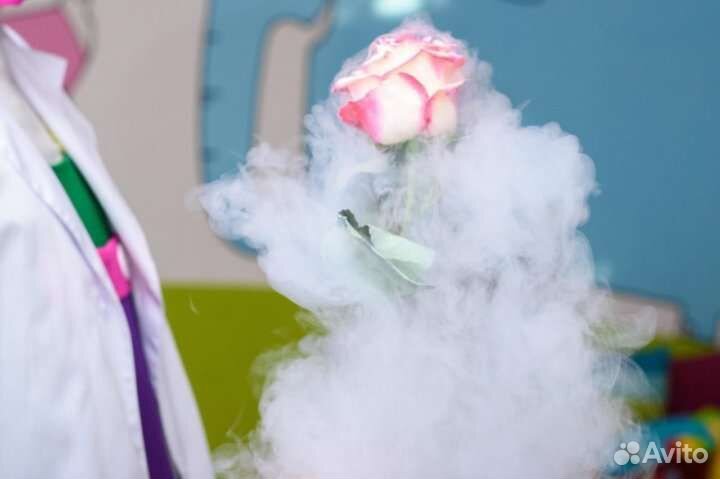 Фокусник зверюшки аниматорышоу на детские праздики