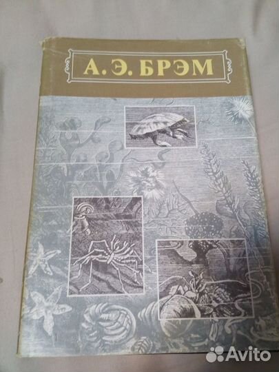 Собрание книг о природе