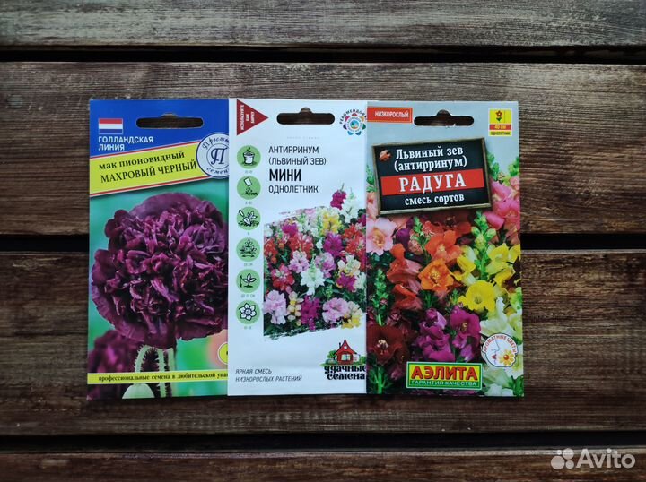 Семена однолетних цветов