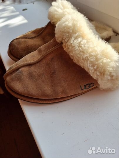 Тапки женские ugg