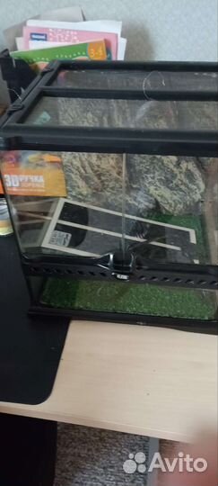 Террариум для рептилий бу