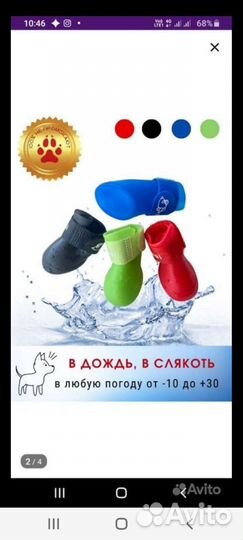 Обувь для собак