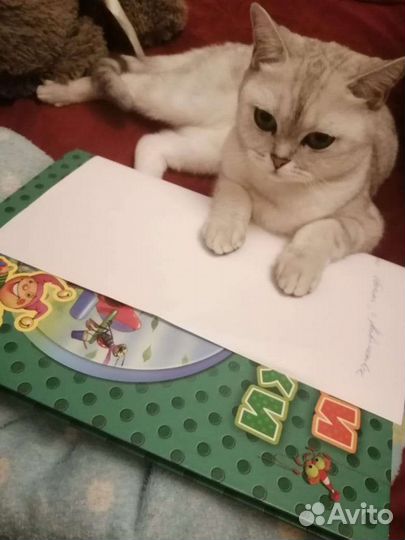 Британская