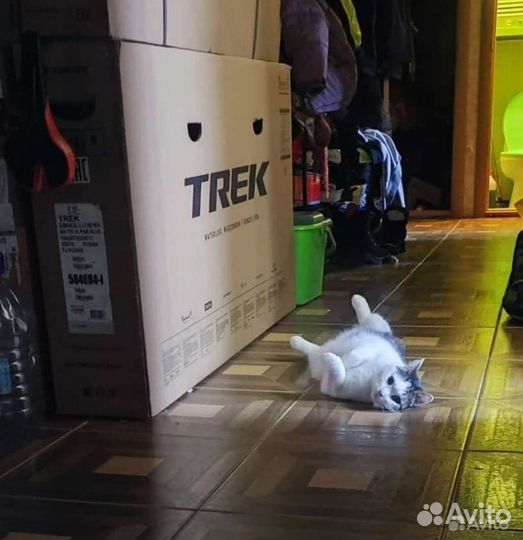 Шоссейный велосипед trek Domane AL 2 новый