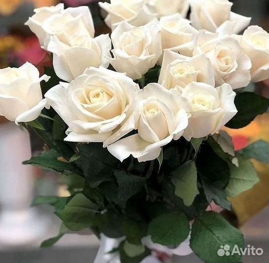 Высокие розы Доставка цветов