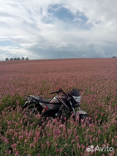 Продам альфу рс 11