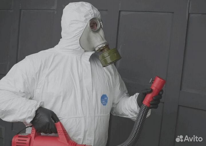 Уничтожение клопов тараканов грызунов блох