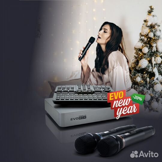 Караоке Комплект EvoBox + SE200D