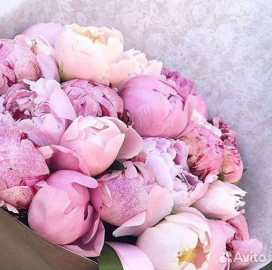 Пионы Букет пионов