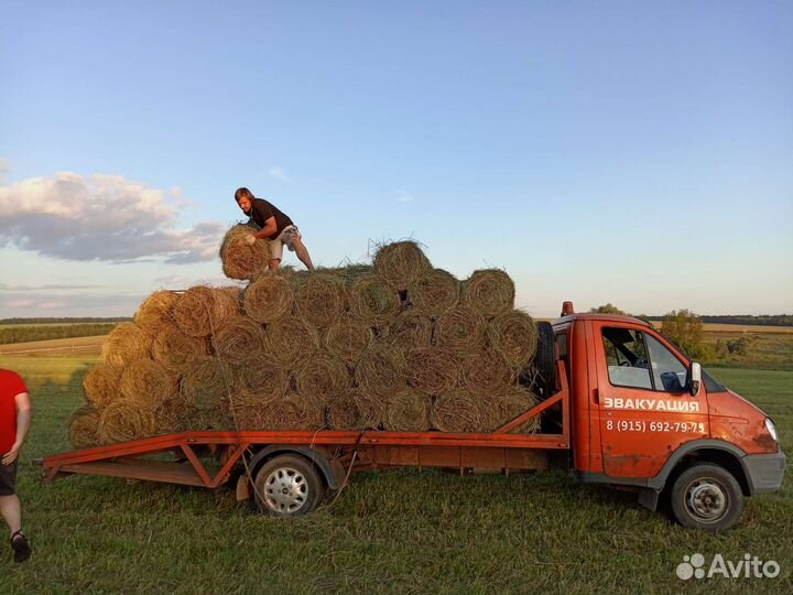 Автоэвакуация