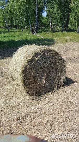 Сено в рулонах