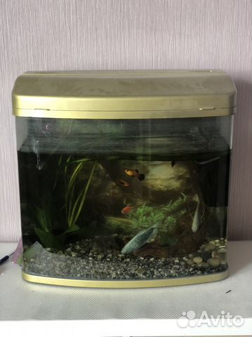 Аквариум