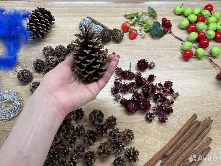 Шишки перья сухоцветы для рукоделия