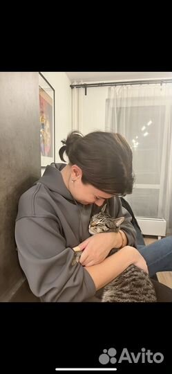 Догситтер, зооняня, передержка