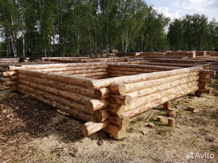 Сруб бани из сосны