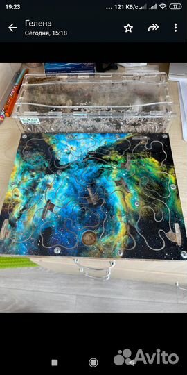 Муравьиная ферма с муравьями