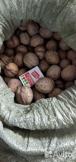 Продам грецкий орех