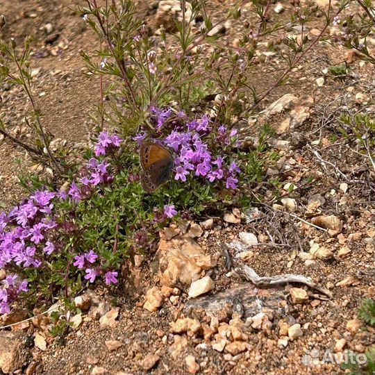 Экскурсии на байкал