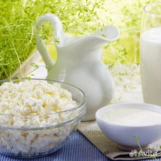 Козье молоко