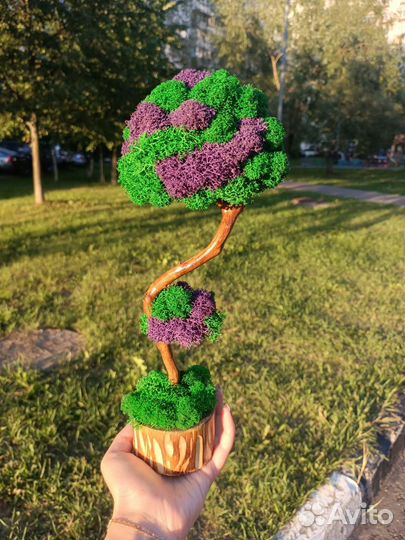 Дерево декоративное в подарок