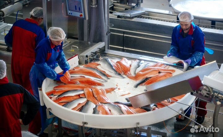 Вахта рыбообработка, Южно-Сахалинск