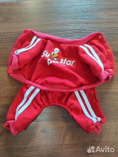 Одежда для собак мелких пород