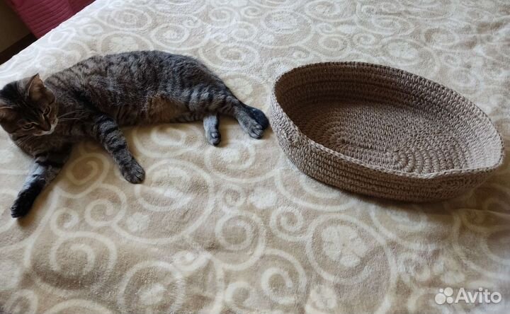 Лежак для кошек или мелких собак из джута