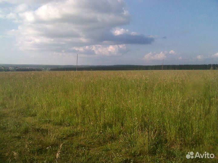 Поле на покос