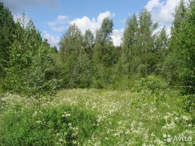 Участок 11 сот. (СНТ, ДНП)