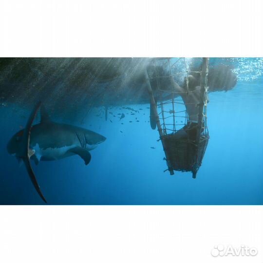 Кон Тики (BluRay)