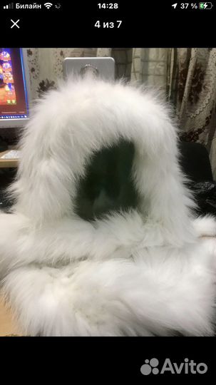 Шапки Зимние, цены Разные