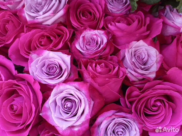 Доставка цветы и букеты, розы