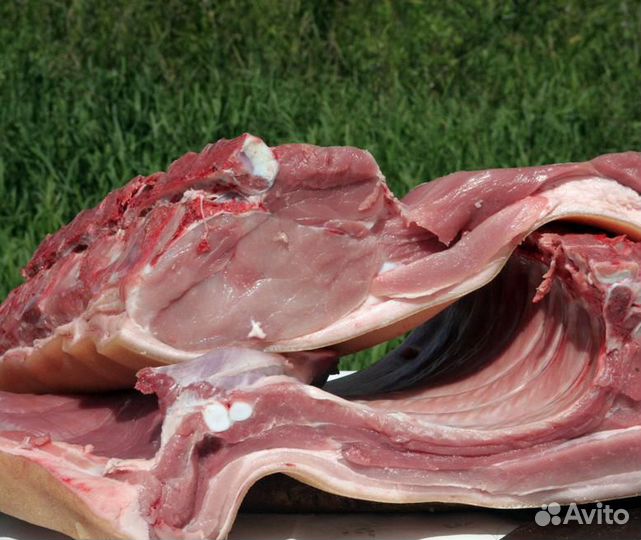 Мясо свинина